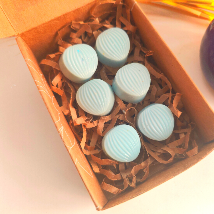 Musk Scented Wax Melts 